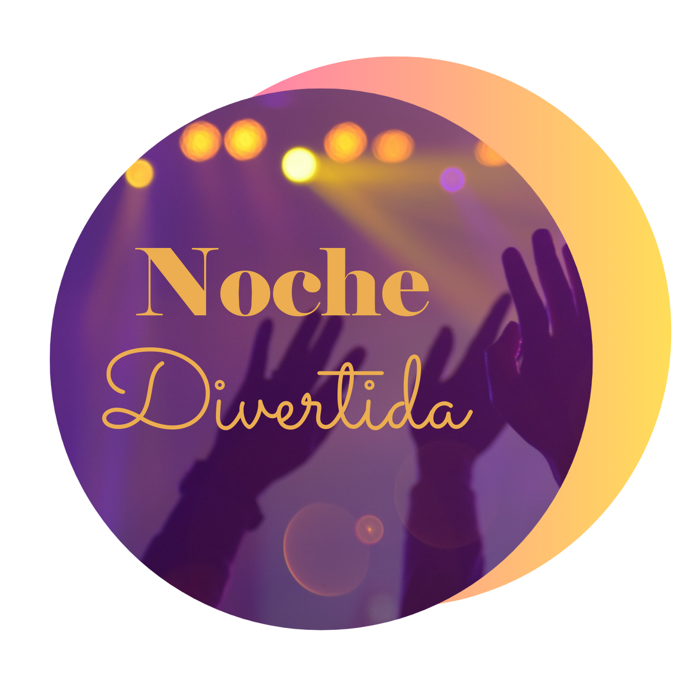 Noche divertida