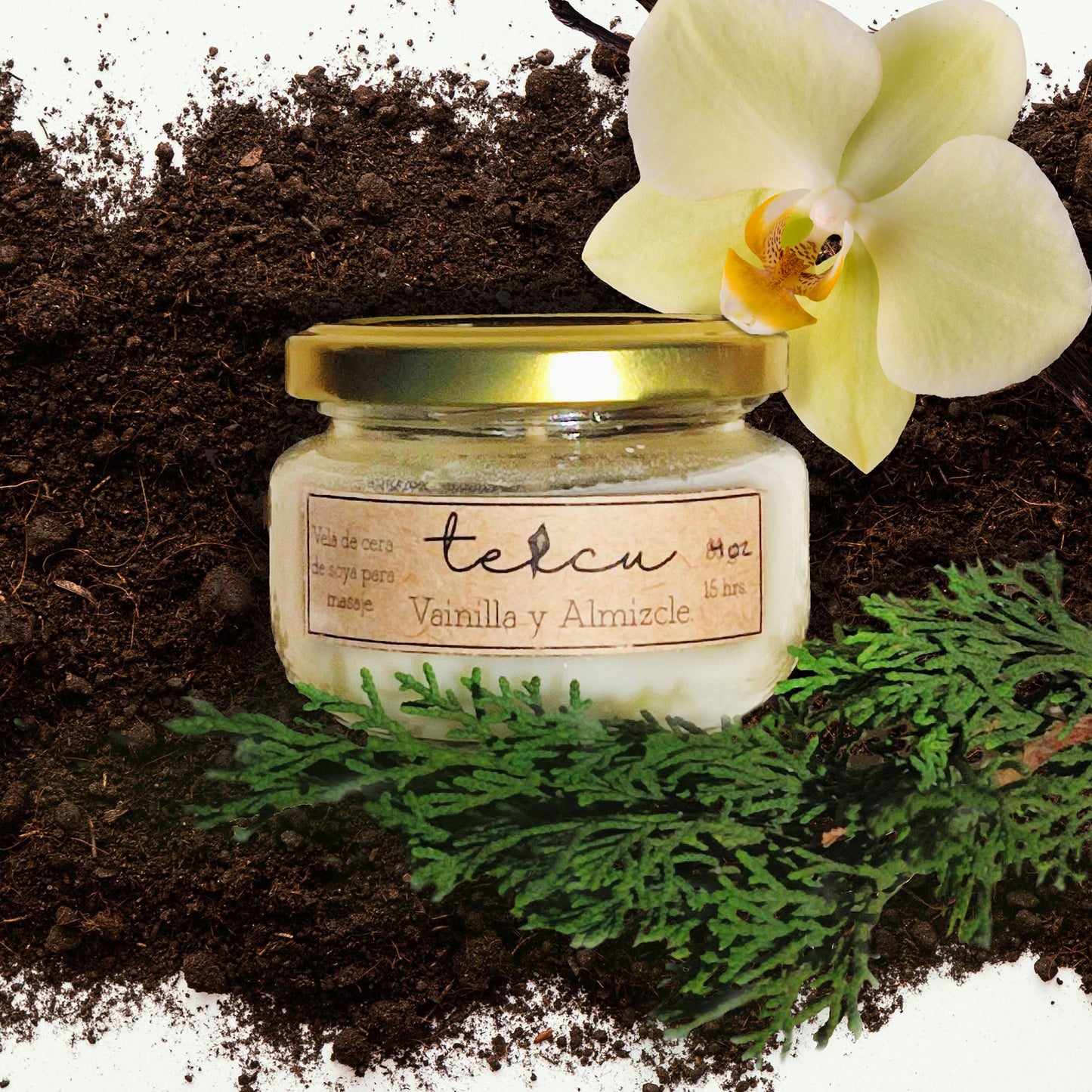 TeicuVela Provocativa Vainilla Almizcle 4 oz.