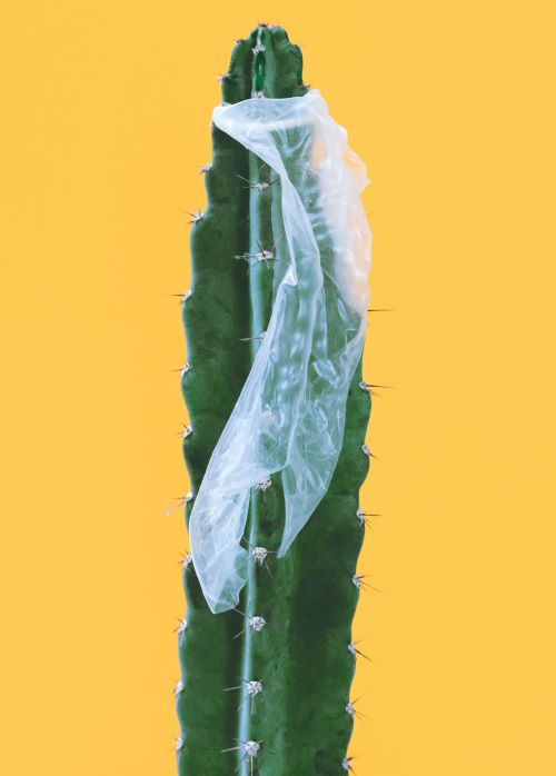 Ponte atento con las infecciones de transmisión sexual (ITS)