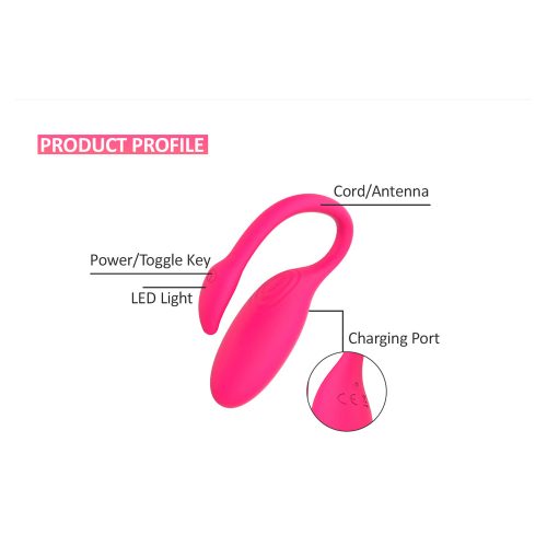 Vibrador de clítoris y punto G Flamingo App recargable